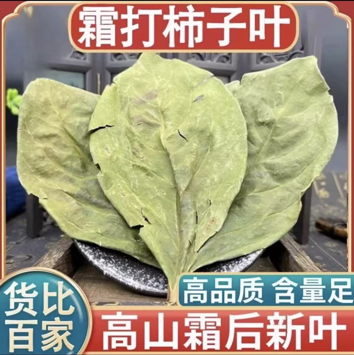 （柿子叶  柿蒂）中药材柿子叶柿钱柿丁柿萼茶柿叶霜后柿子树叶