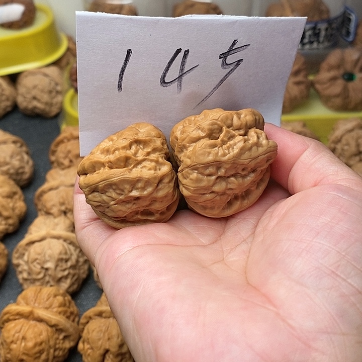 核桃蛤蟆36斤左右一个半小时