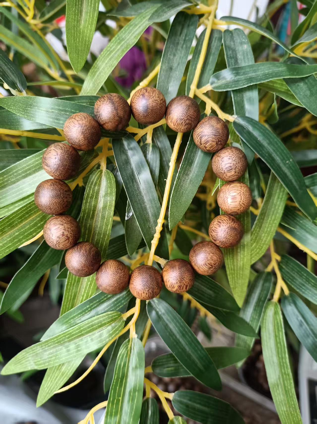 沉香莺歌绿棋楠圆珠单圈手串，规格：14mm,克重：17克（多样性发一条）