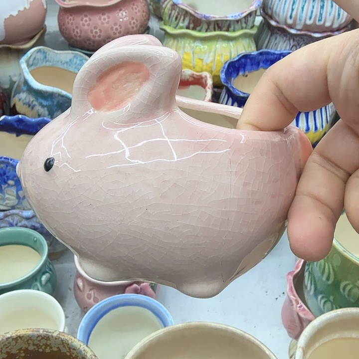 多肉植物陶瓷花盆