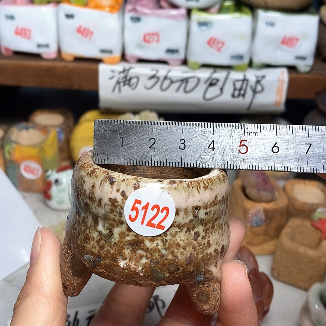 红陶拍5送一个小