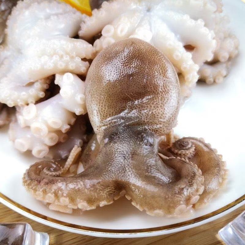 鲜活速冻迷你小八爪鱼 三斤装新鲜顺丰京东包邮