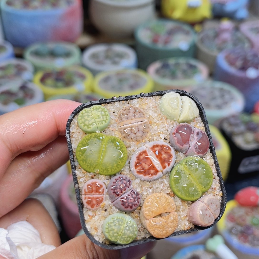 008。88888888888888888888