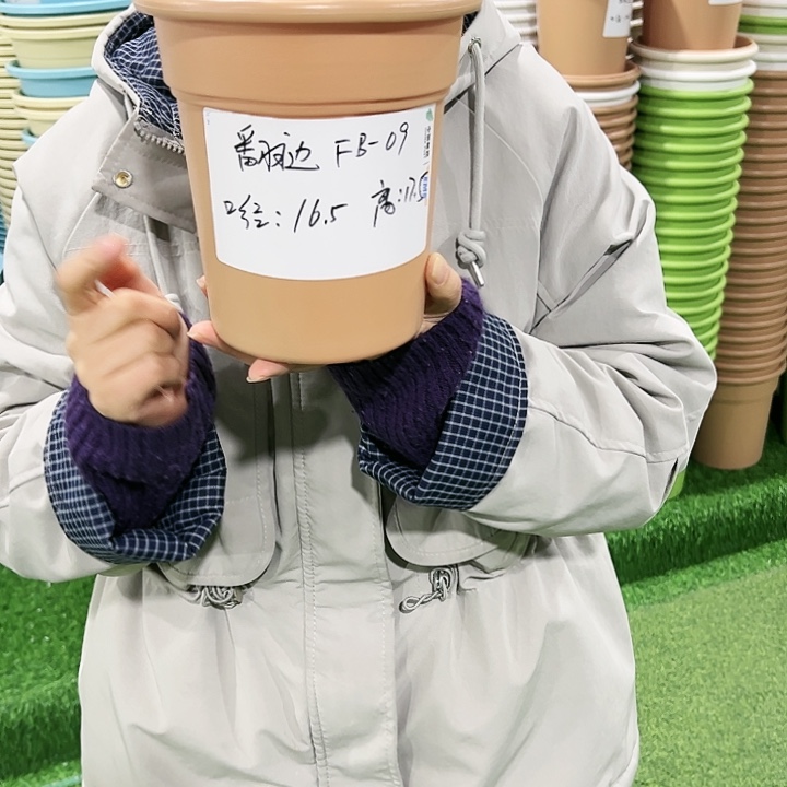 正品翻边盆口16高17白色无托8只