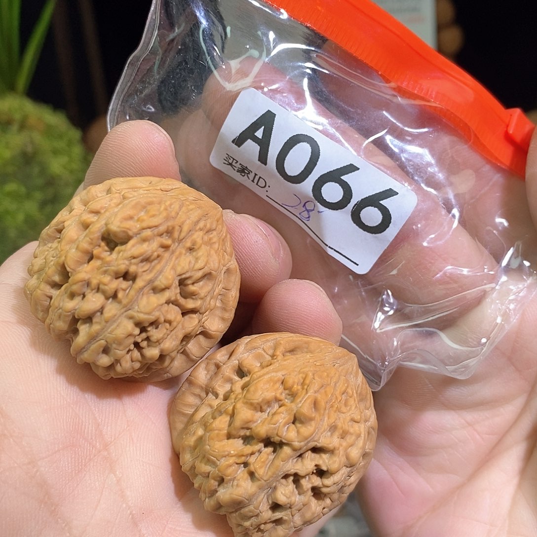 桃核把件骰子。             36尺