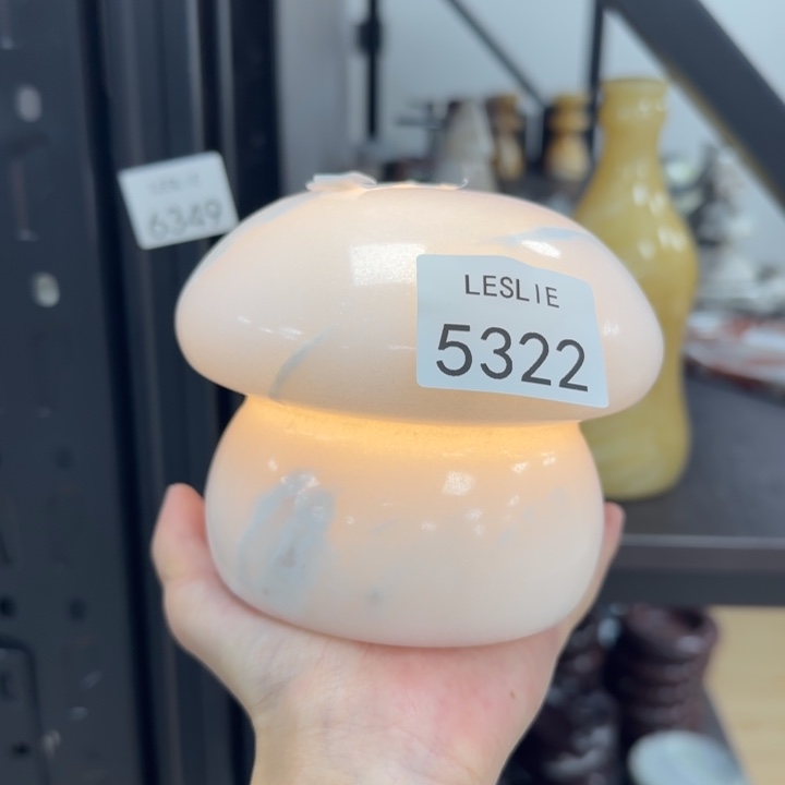 X322.             灯