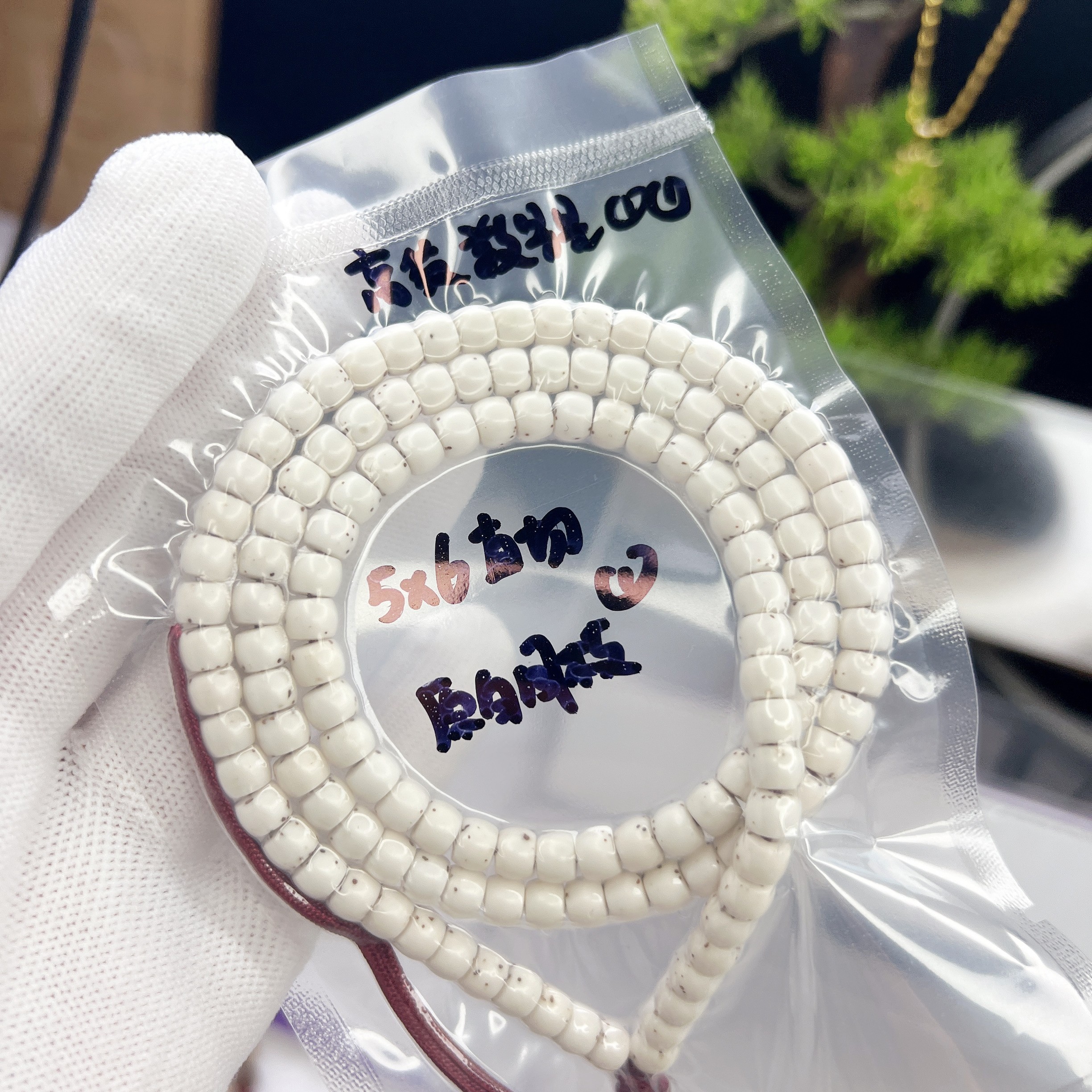 星月菩提 原生态5*6原白直切 数星星 星稀 大留白