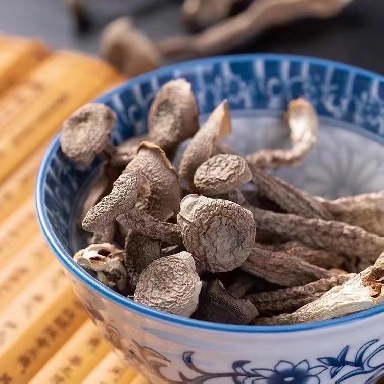 青川山区鹿茸菇干货无硫熏脆脆菇