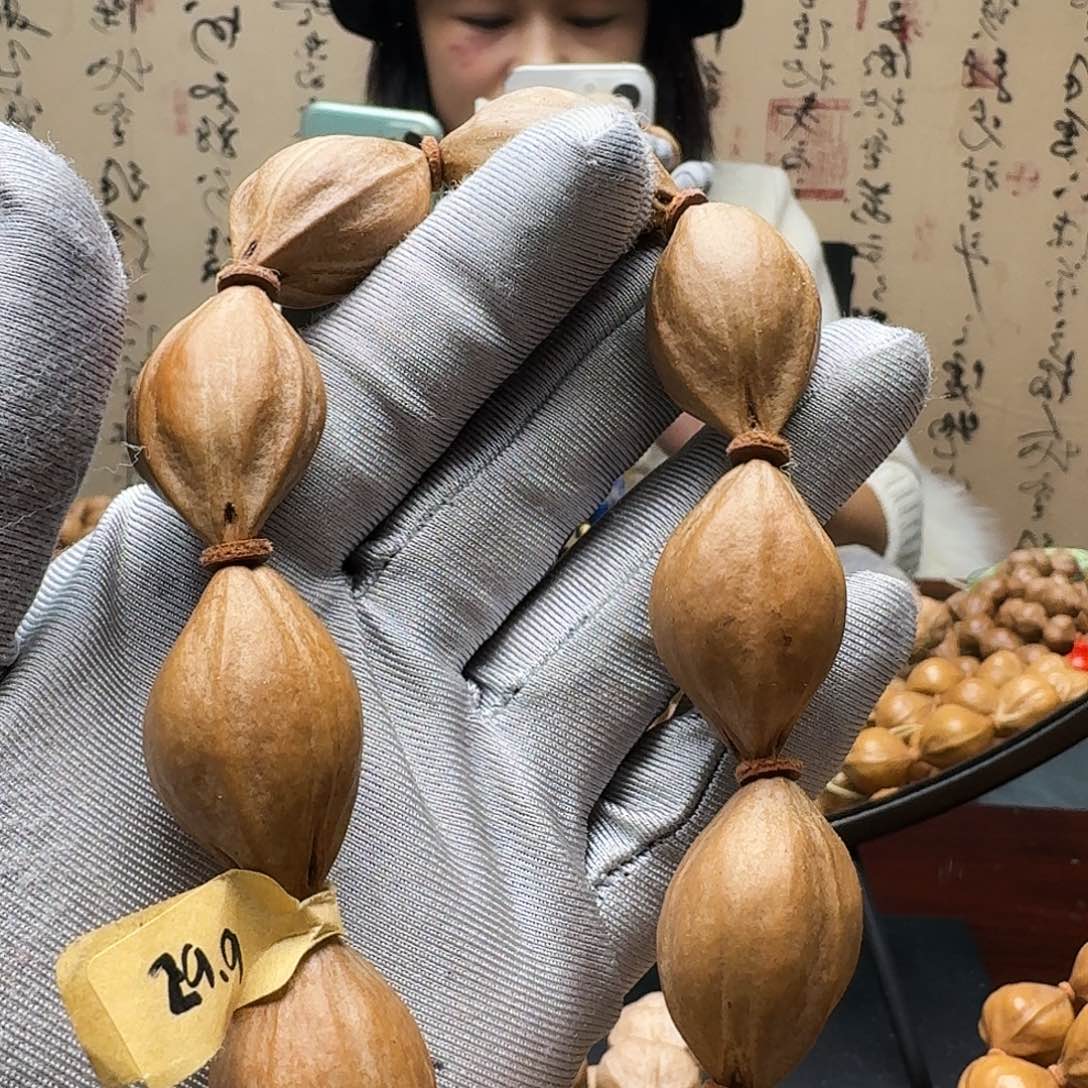 手串橄榄核鲨鱼呗