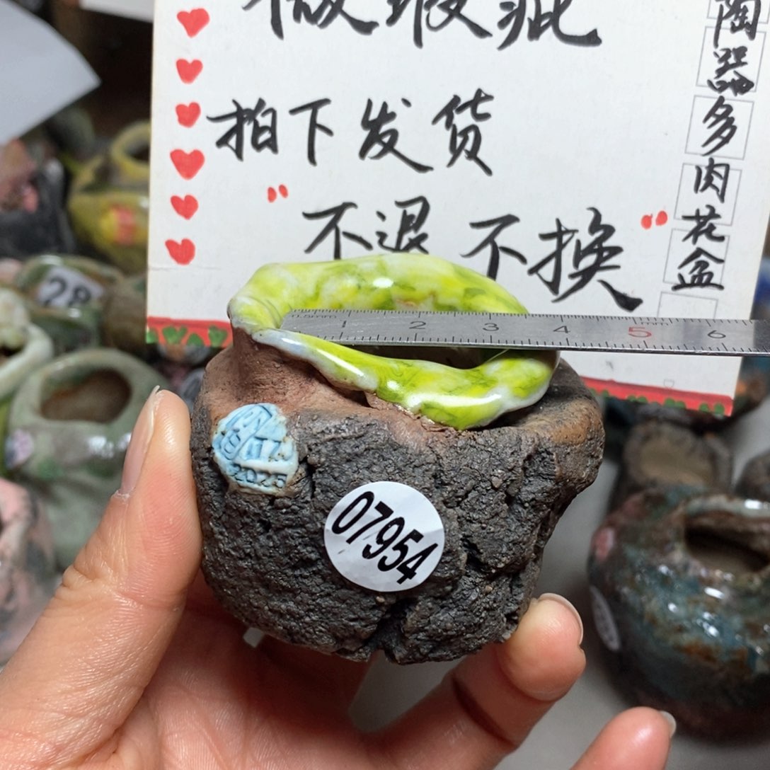 花盆拍3送一个小礼物