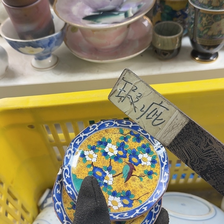 碗开播啦….开播啦