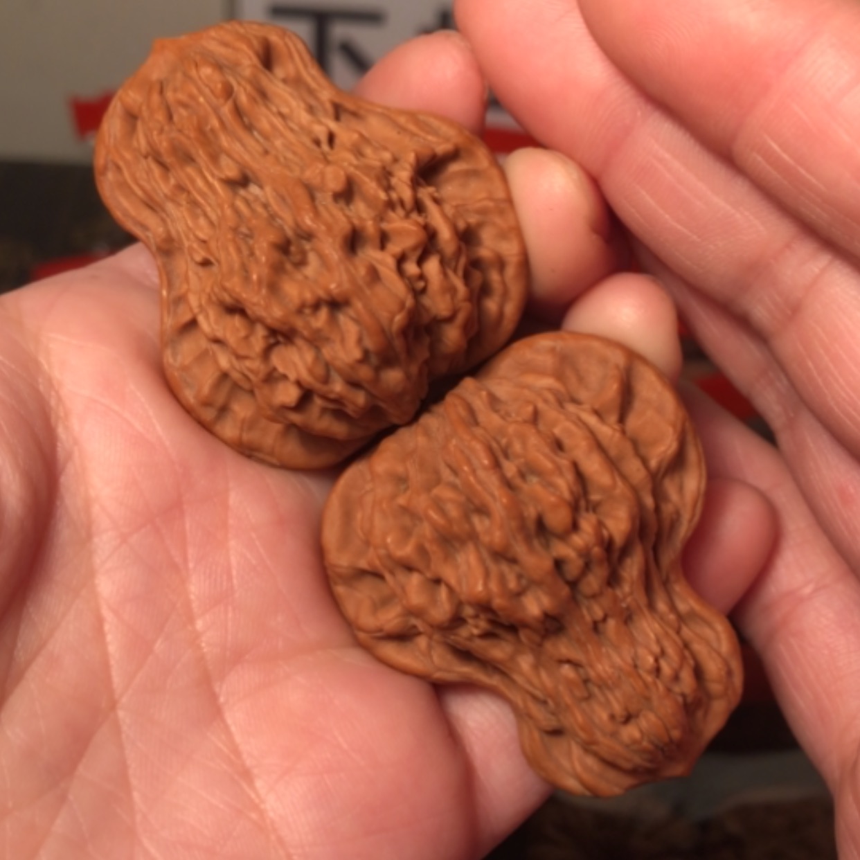 【闪购商品】文玩核桃把件葫芦