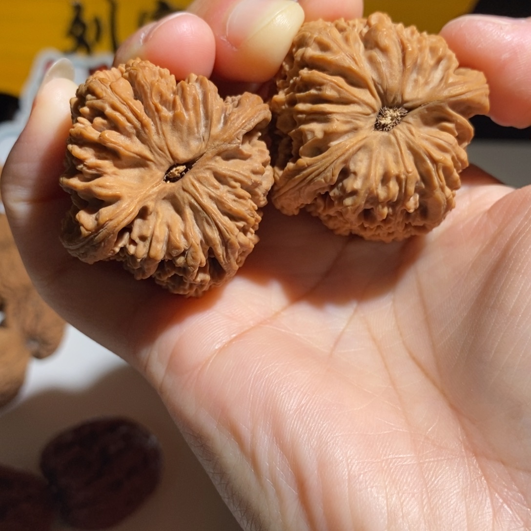 车***滚大叶紫檀（黑酸枝木类）