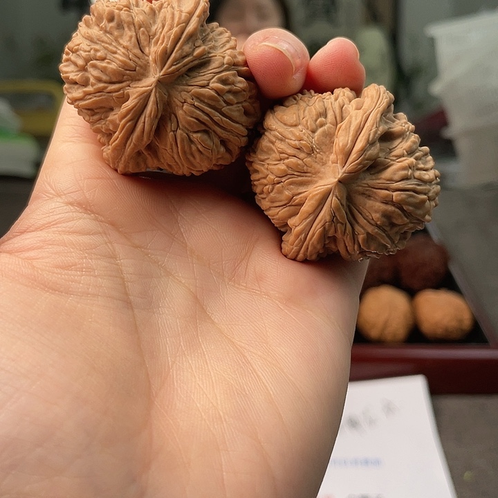 文玩核桃把件大****V全品白狮子