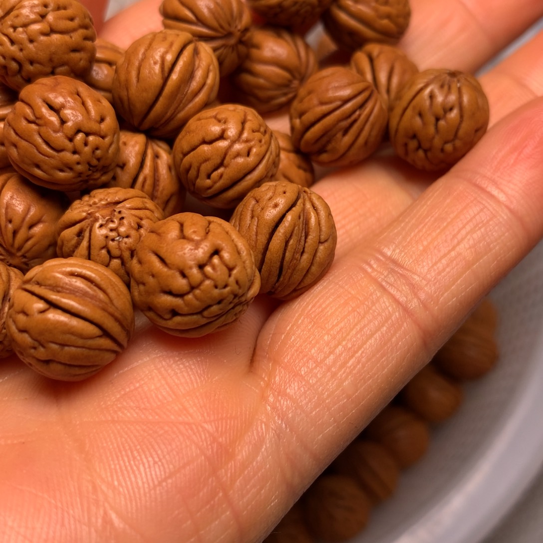 @***凉秦岭野生小馒头12尺寸