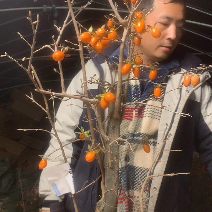 三***5无花朵我们的目标