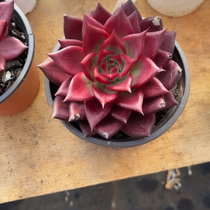 慕***曦00000000000000621