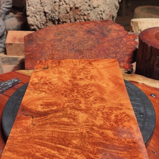 大果紫檀（缅甸花梨）