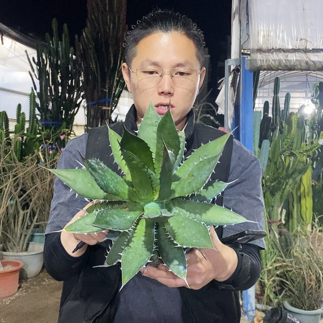 60号选手。           