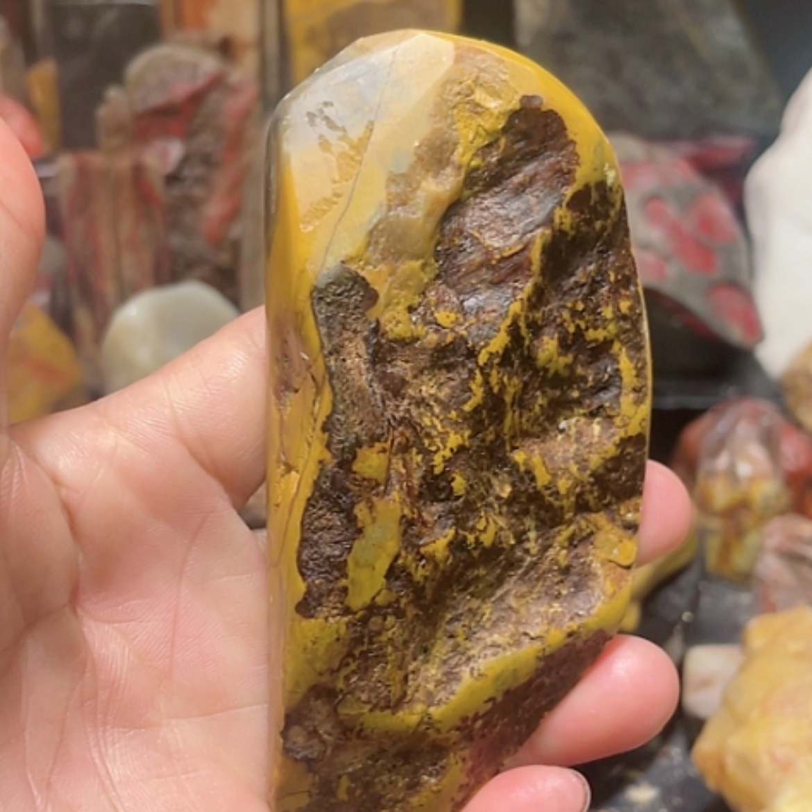 【闪购商品】昌化石昌化田黄石