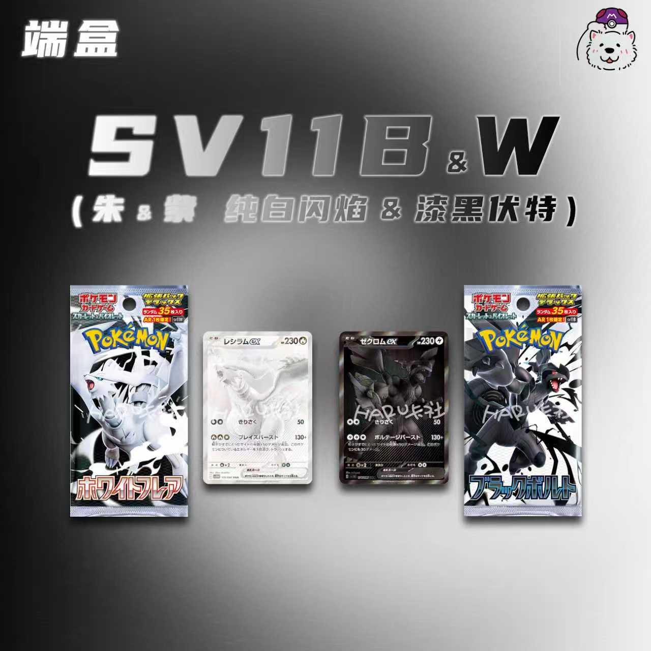 日版卡牌SV11卡片黑白龙 {代拆}