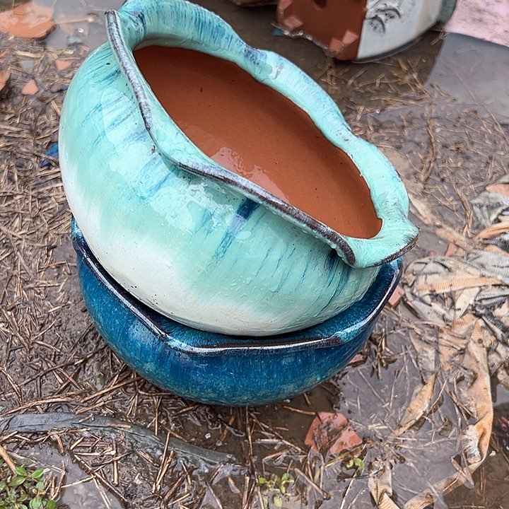 紫砂花盆口20高10.5。。。。。。。。。。。