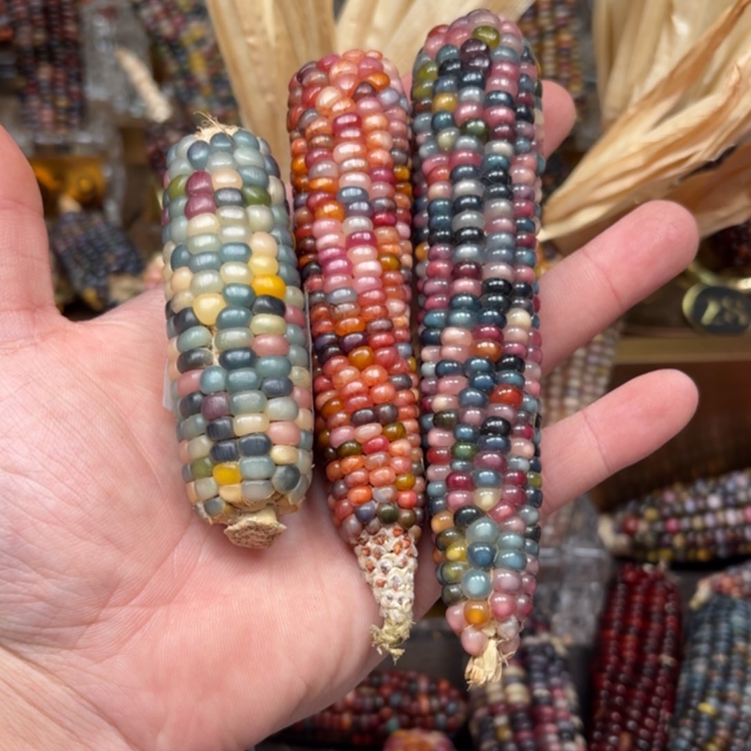 柏香籽/百香籽吊坠久