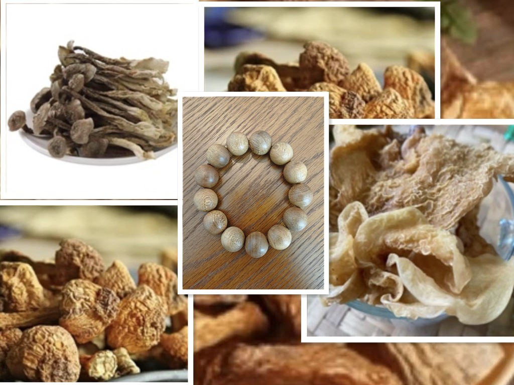 【在河口的秘密】A0301 重量50g