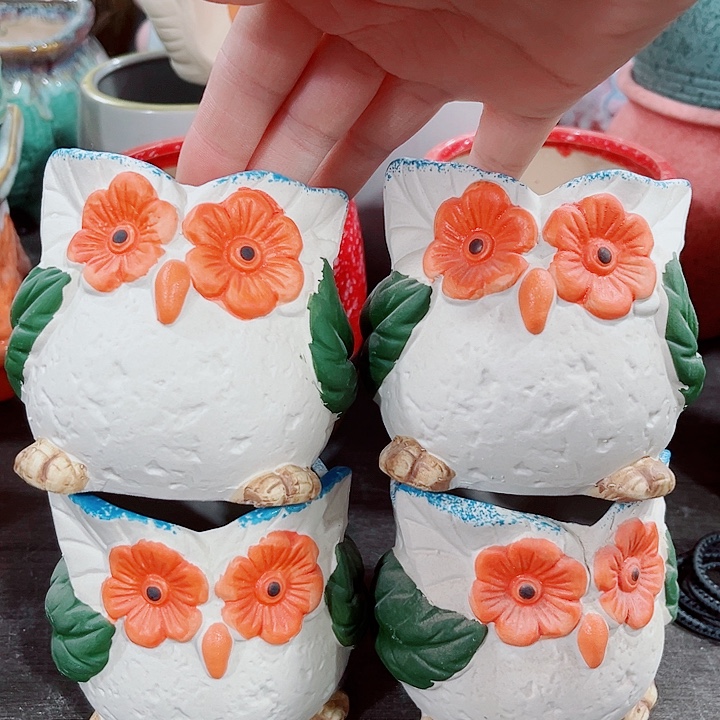 多肉花盆满10元包邮