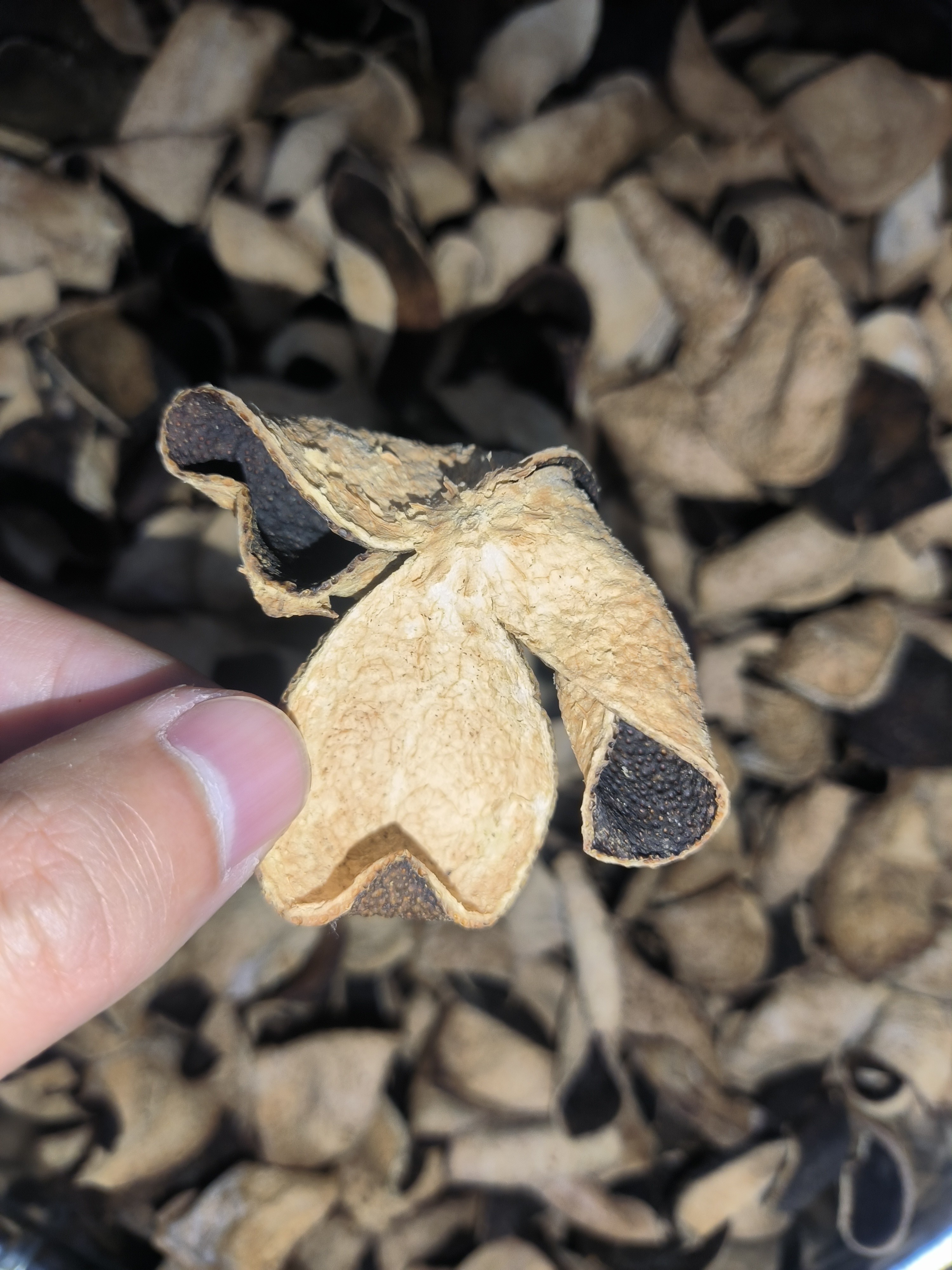 2017年小青皮青壳皮，适用人群效果很好，口感回甘，味道很独特。不苦