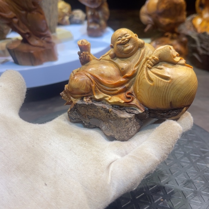 空***3崖柏1111111111111111111111