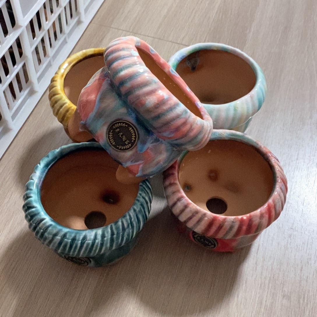 福利多多，福利多多