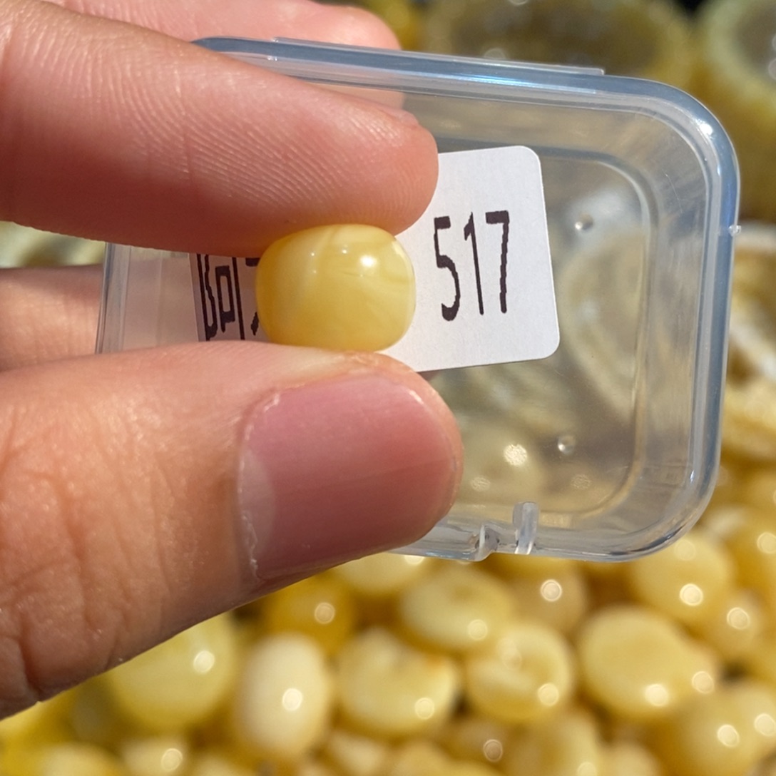琥珀未镶嵌珠宝奇石517