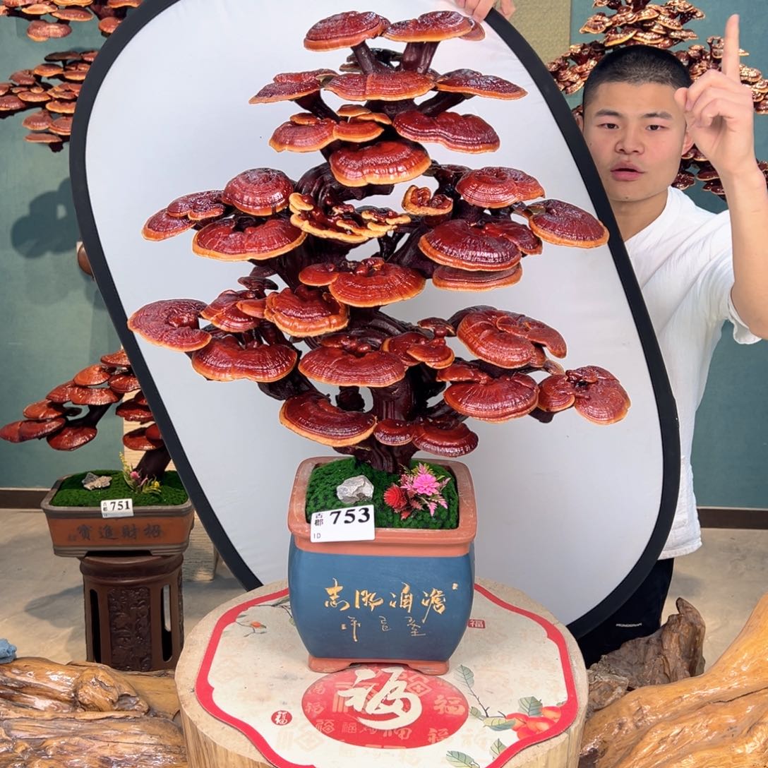 无花朵8888888888