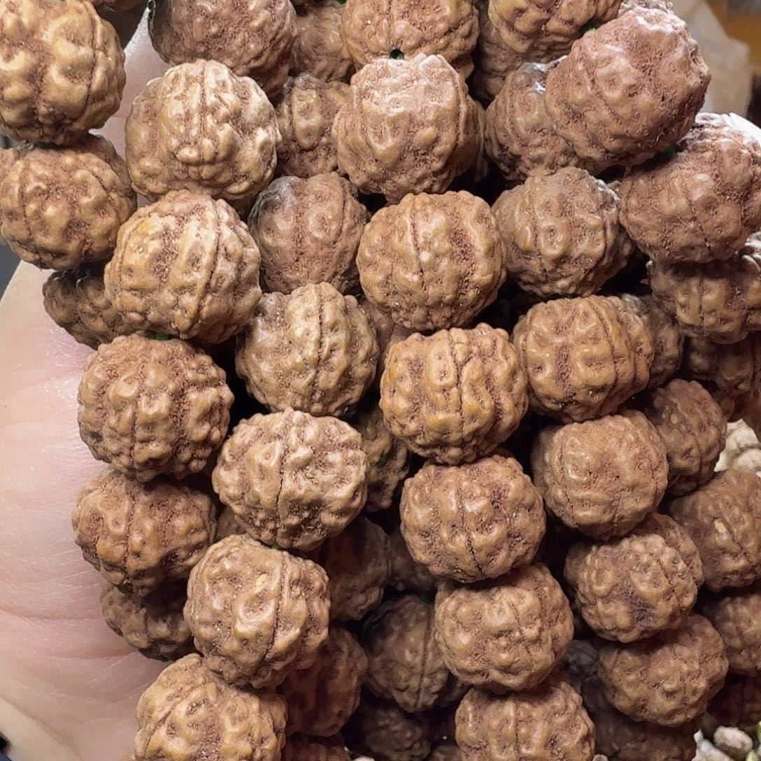 金刚菩提吊坠帝王花手持尺寸随机