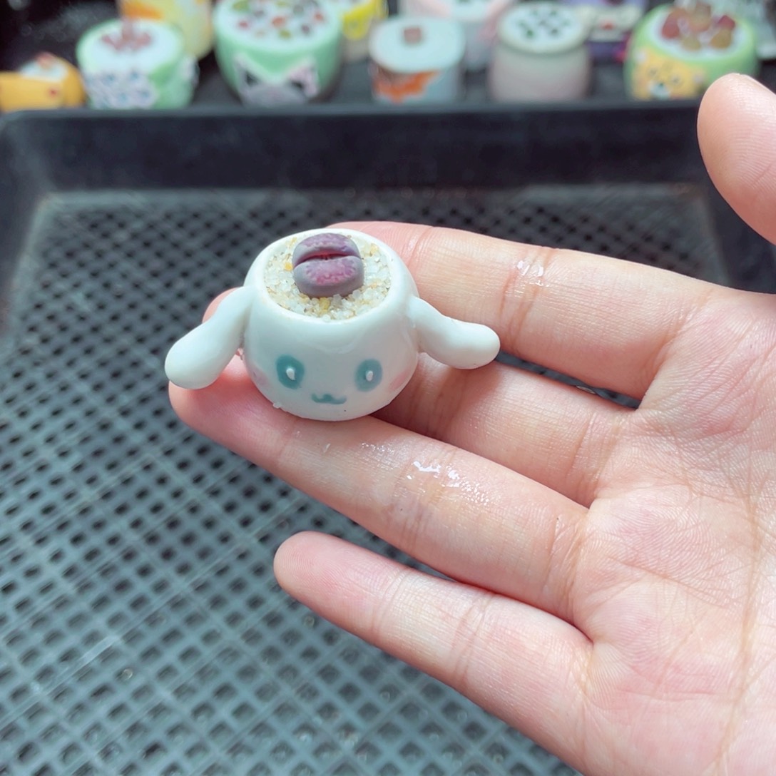 w6694 -零下地区拍保温箱-15支持寄养