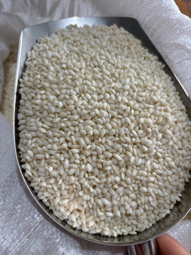 贵州高山老品种香禾糯米