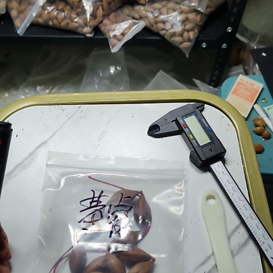 基***睿吊坠橄榄核三角脖挂