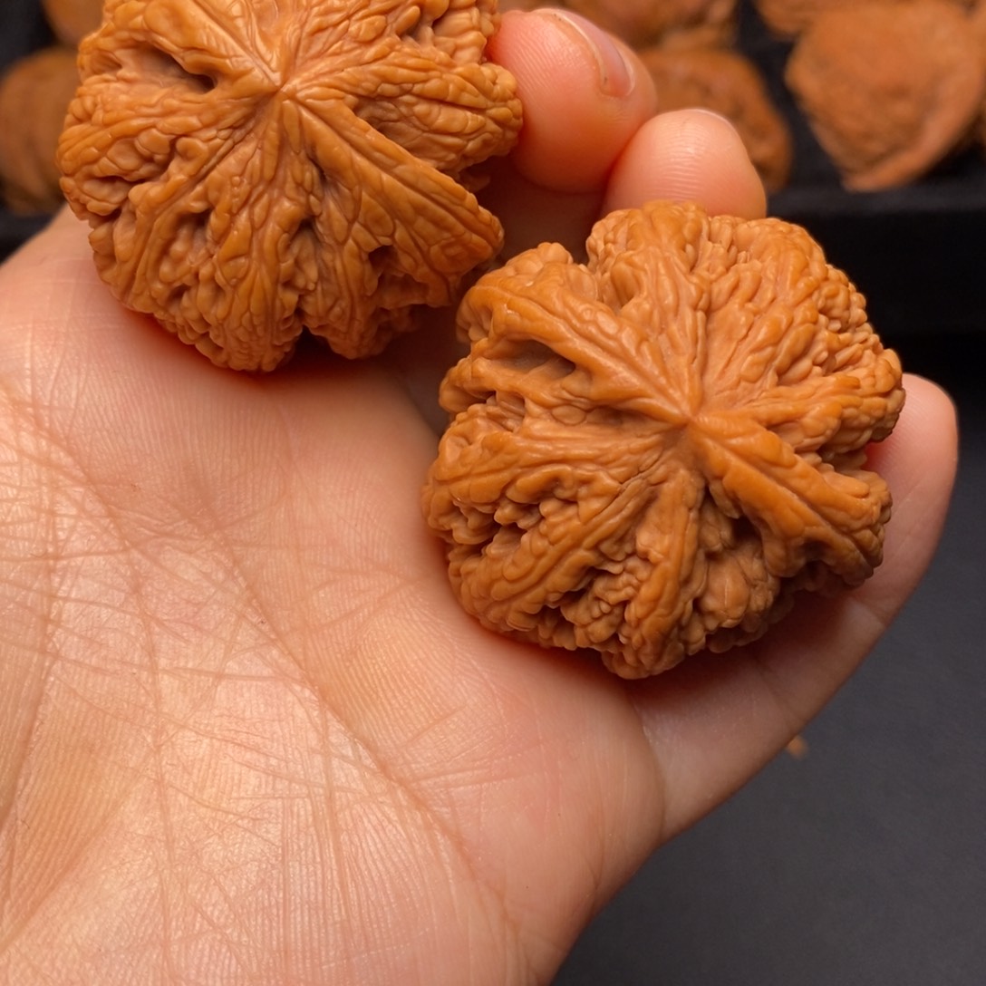 文玩核桃吊坠秦岭野生核桃