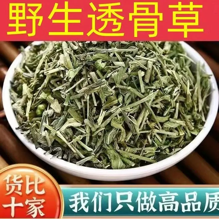 透骨草新货珍珠透骨中药材农产品草包邮新货干货干净农家枸杞原色
