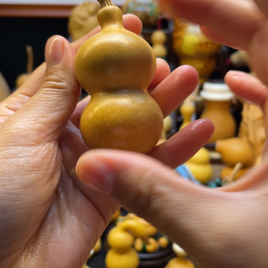 懒***葫芦等经济作物的栽培技术研究与推广