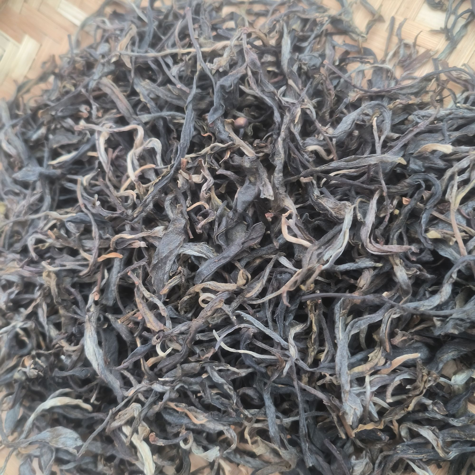 2021年磨烈古树花果香