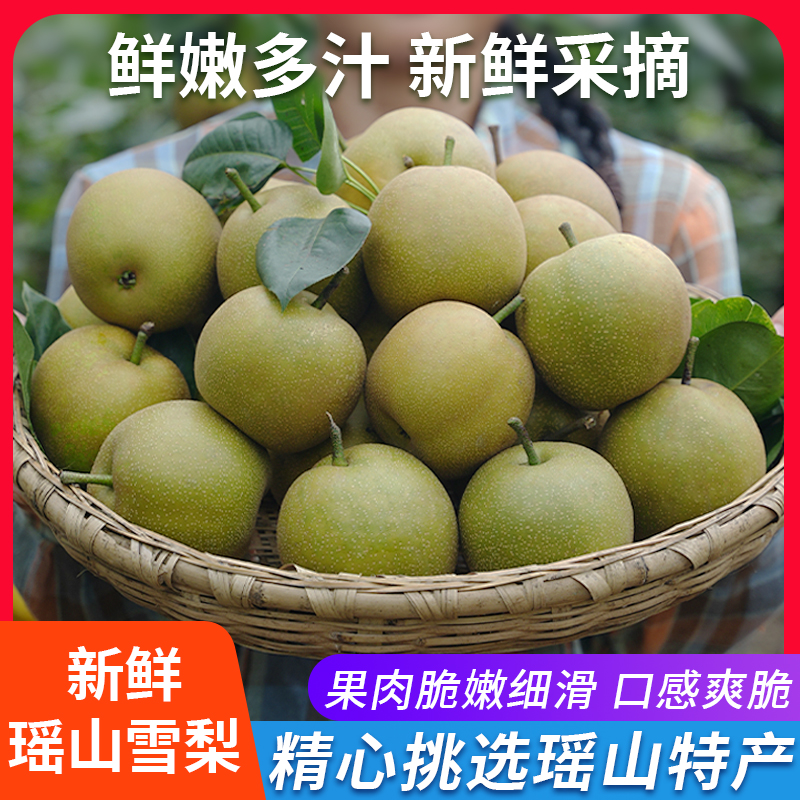现摘现发 瑶山雪梨 湖南永州江华特产新鲜水果9个/18个