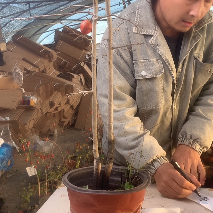 眼***镜无花朵我们的目标是成为一