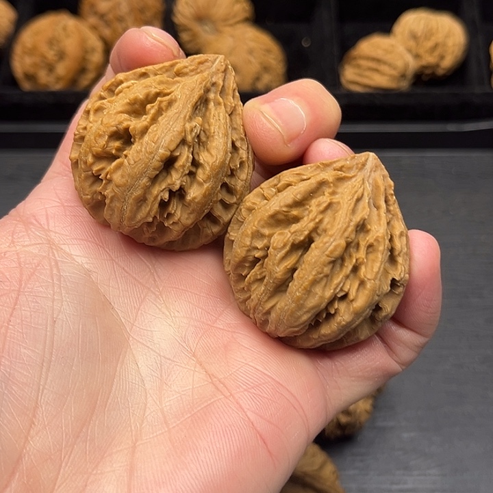 木质类秦岭突突突突突突突