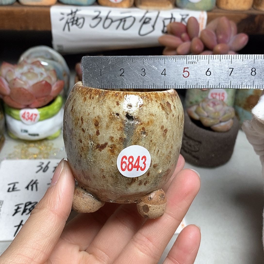 红陶拍5送一个小