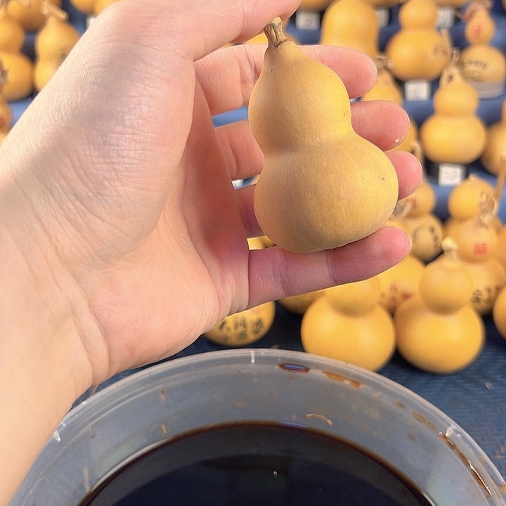 葫芦一物一拍所见即所得