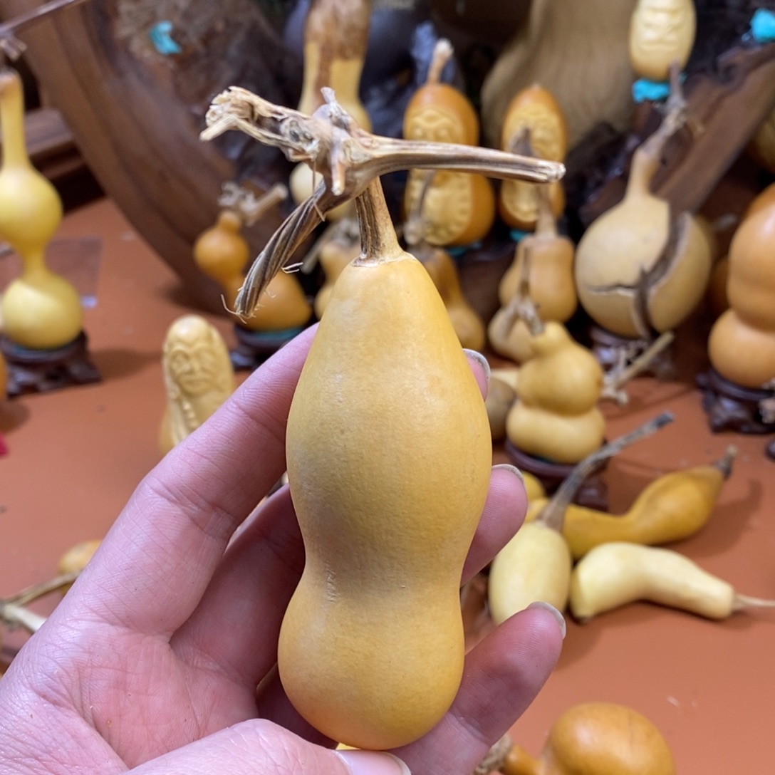 毛****啦啦教练咯考虑啊咯