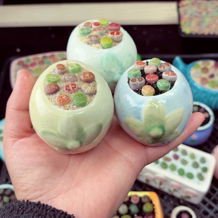 860零下地区记得拍保温箱满18包邮