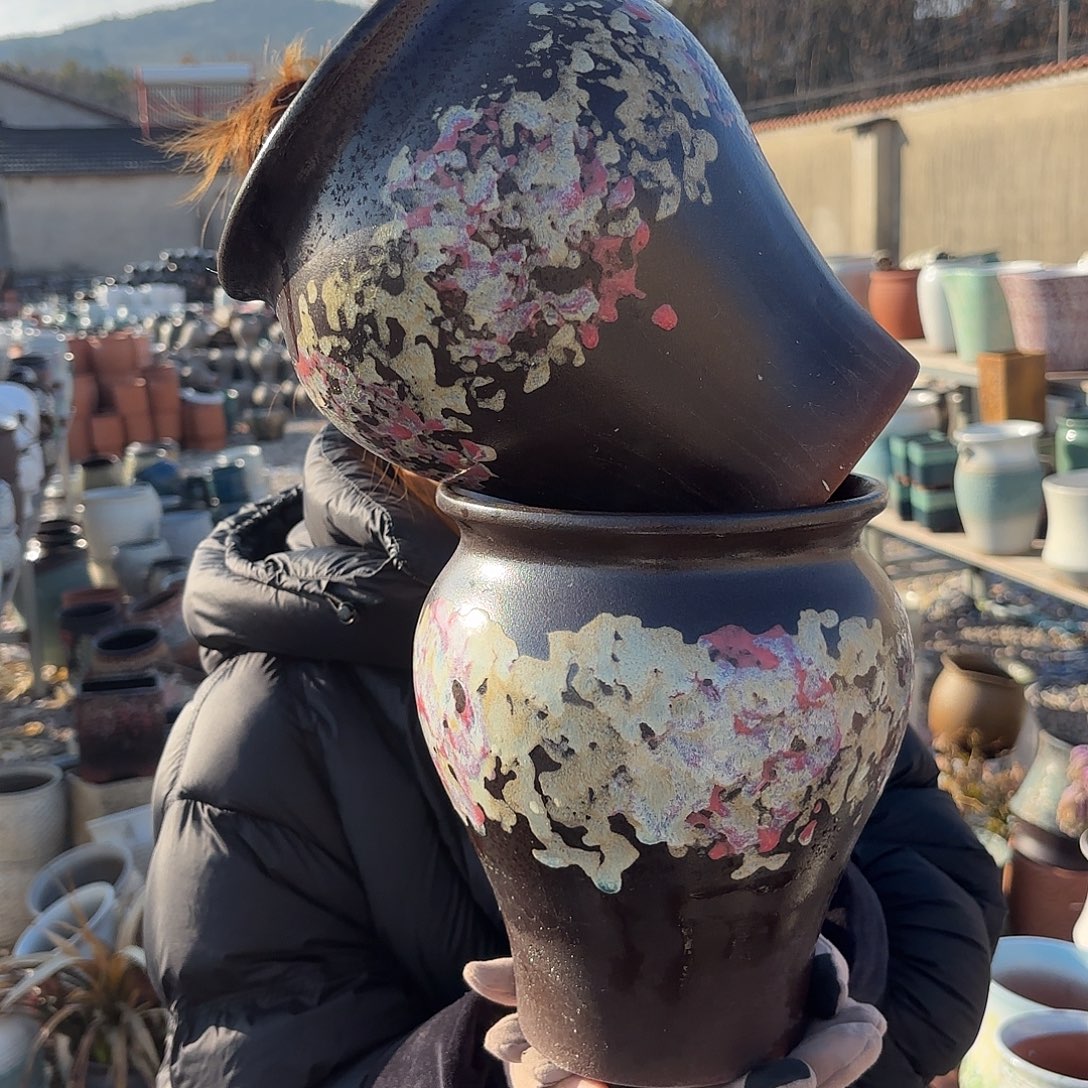 口径17高22两个油画鱼尾